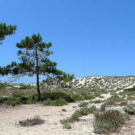 Comporta Beach House 외부 사진