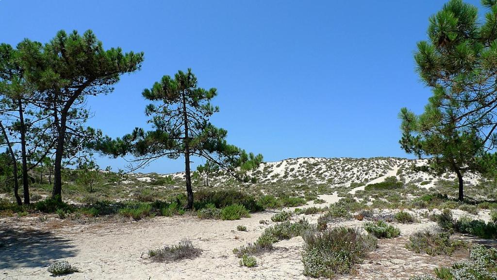 Comporta Beach House 외부 사진